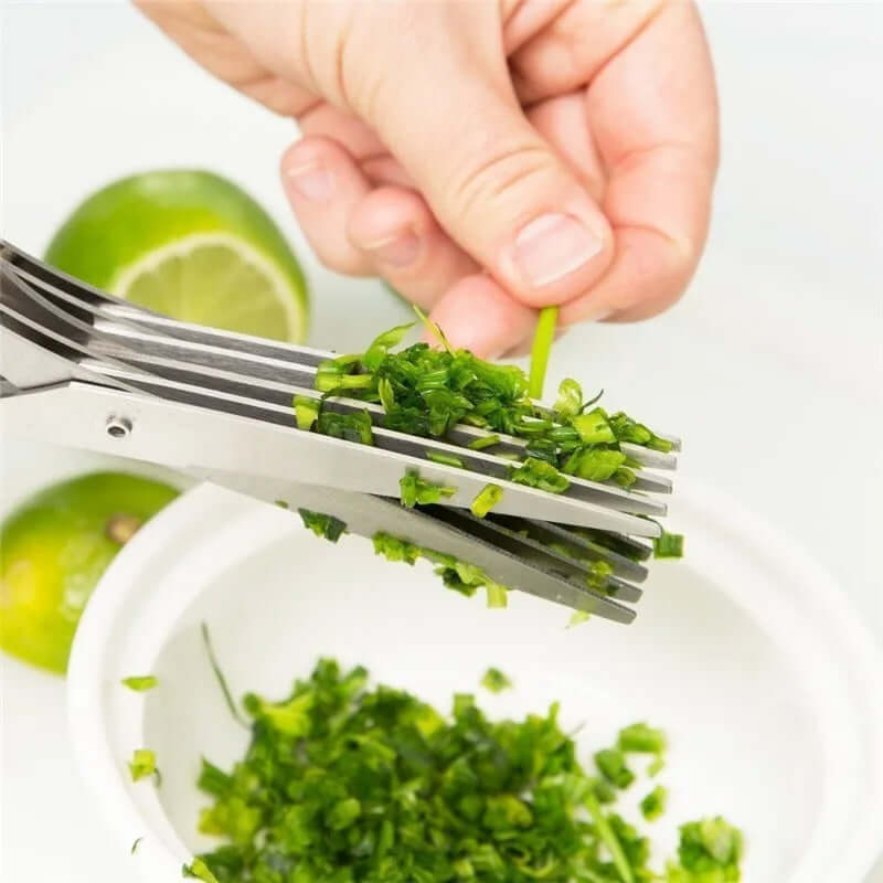 Multifunctional Multi-Layer Green Onion & Herb Scissors – Stainless Steel Kitchen Gadget - Best Home Bargains